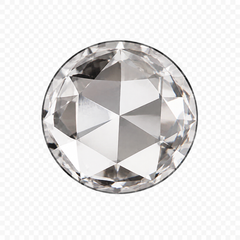 OEC – OMC