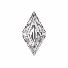 Dutch Marquise